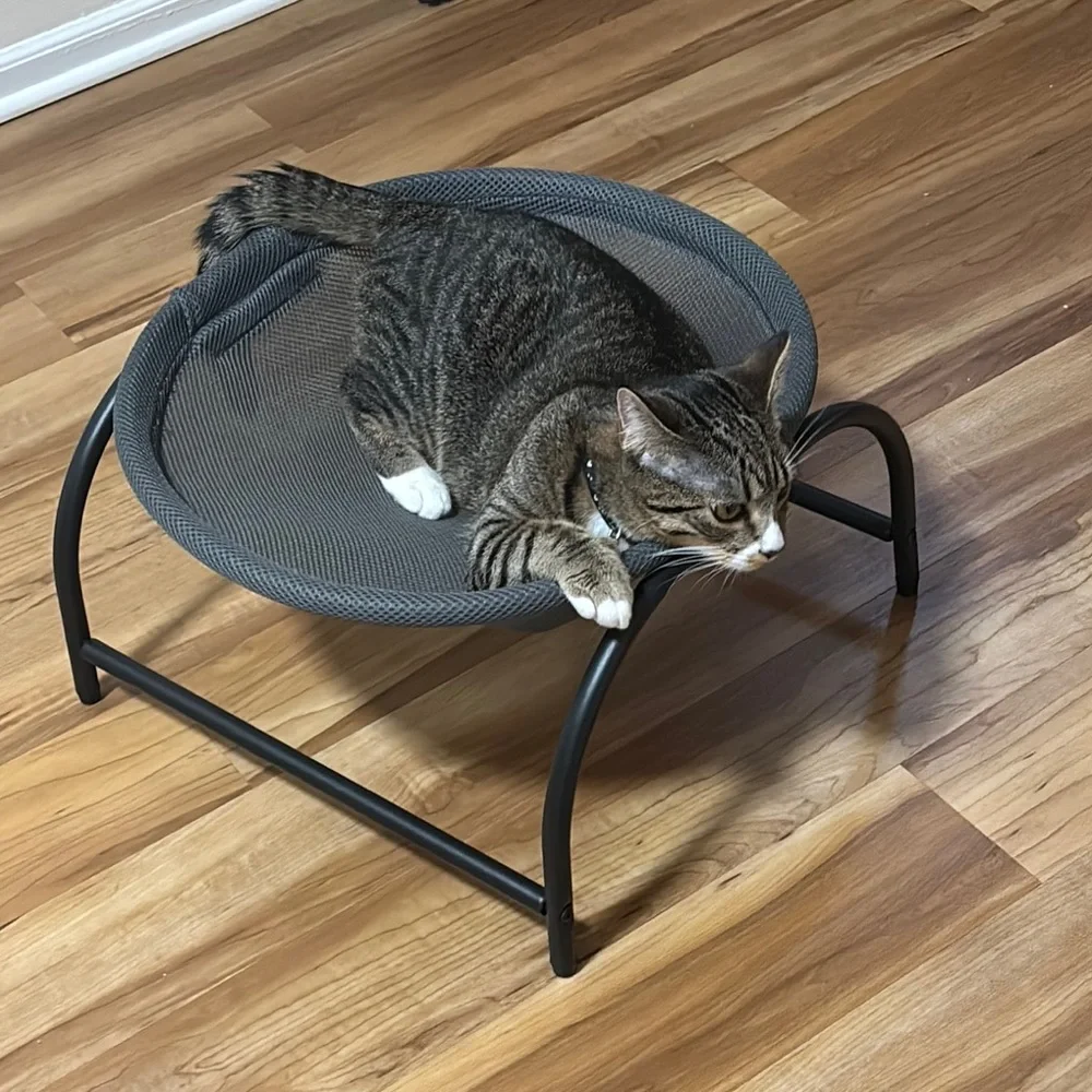 Gray Cat Lounge Chair